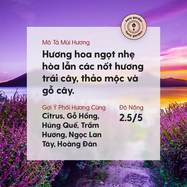 tinh dầu oải hương