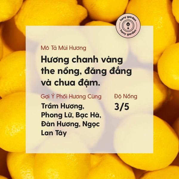 tinh dầu chanh vàng lemon