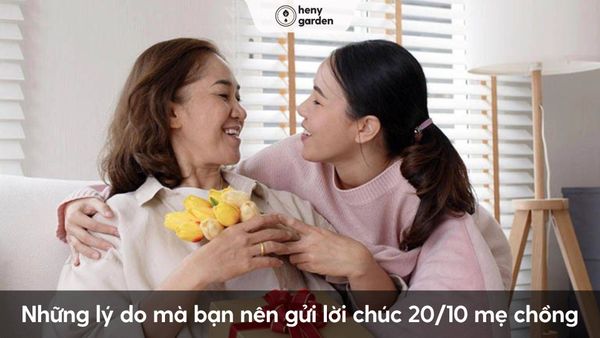 Những lý do mà bạn nên gửi lời chúc 20/10 mẹ chồng