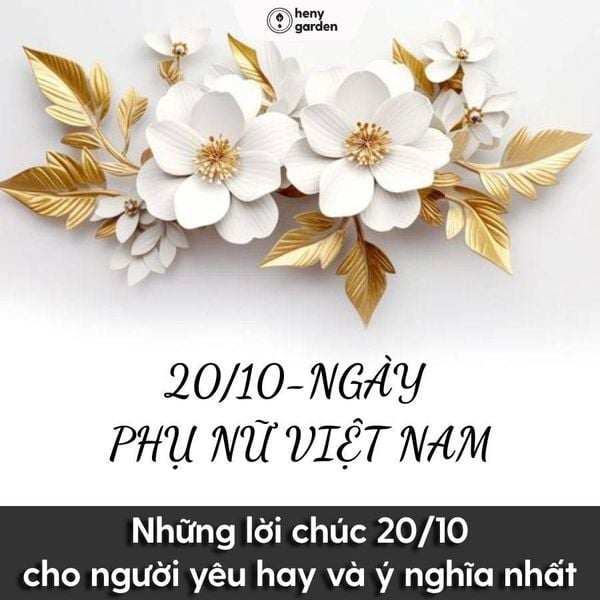 lời chúc 20/10 cho người yêu hay và ý nghĩa