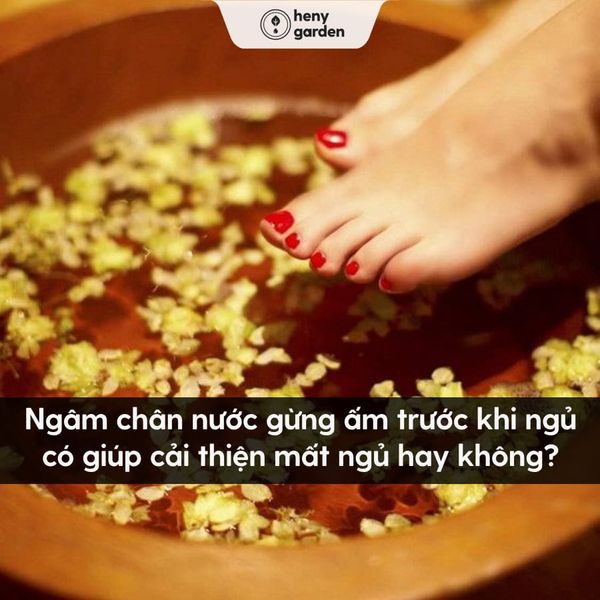 So Sánh Trà Gừng Với Các Loại Trà Khác