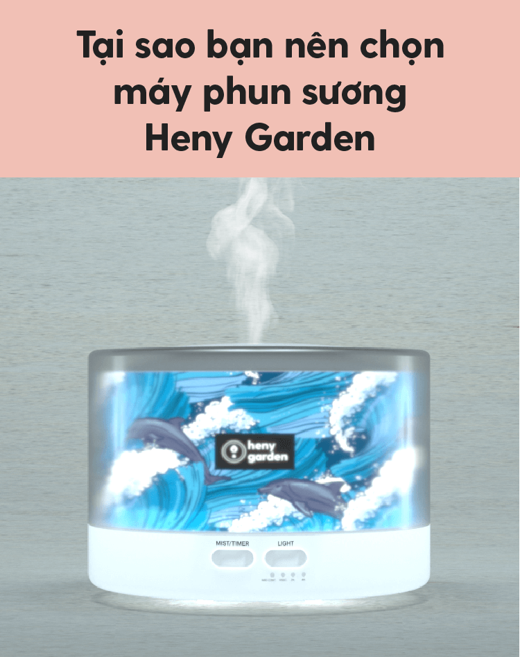 Tại sao bạn nên chọn máy khuếch tán tinh dầu Heny Garden