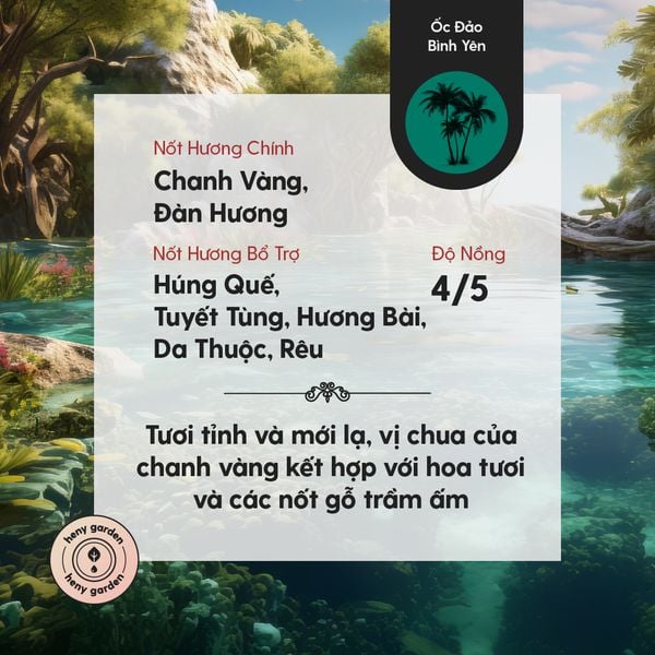 tinh dầu thơm phòng