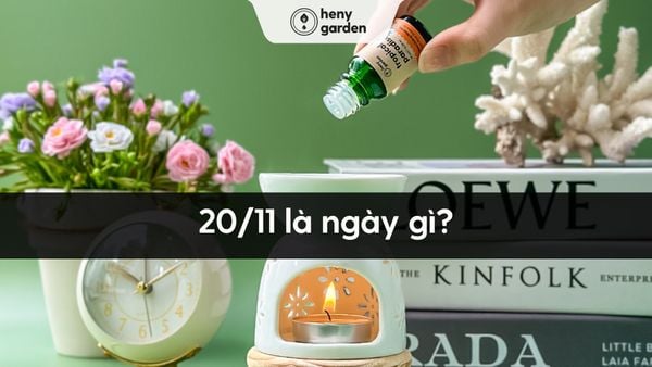 Tên đầy đủ của ngày 20-11 là gì? Lịch sử và ý nghĩa ngày Nhà giáo Việt Nam