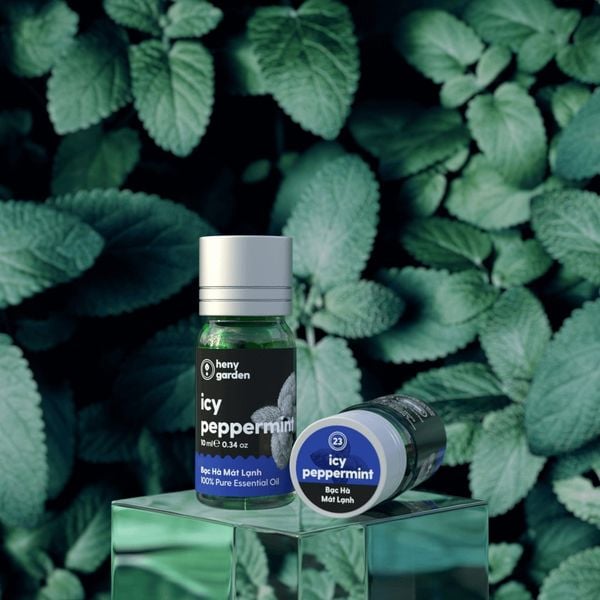Tinh dầu Bạc hà Mint