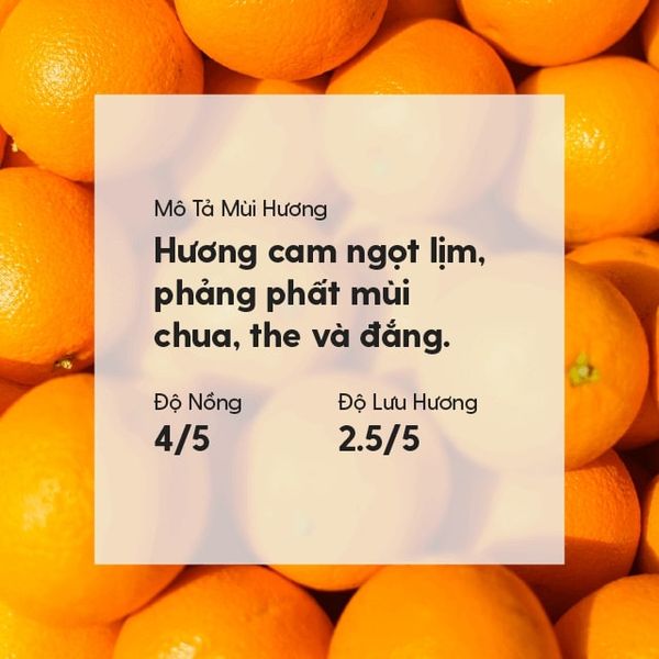 Tinh dầu Cam Bergamot