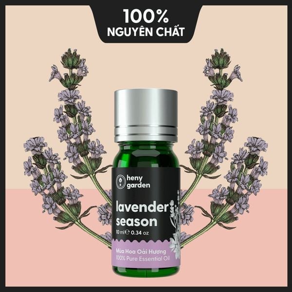 Tinh dầu Oải Hương (Lavender) nguyên chất hiệu quả trị mụn hiệu quả nhất