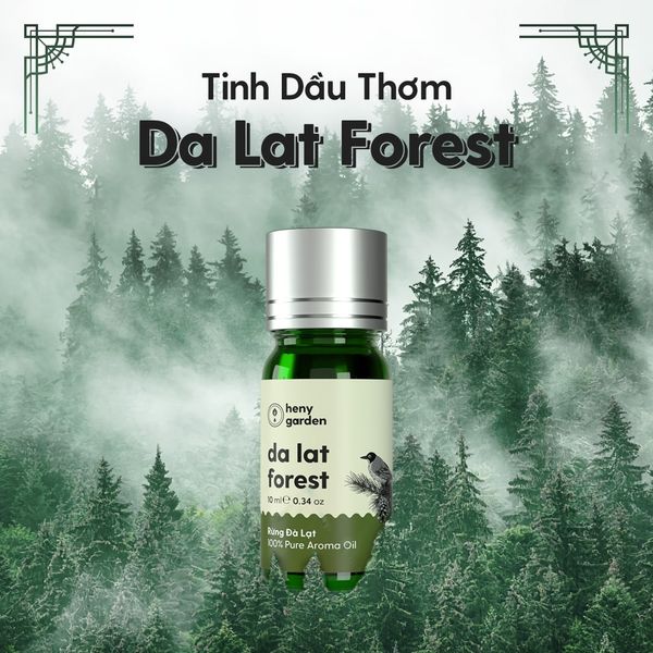 Tinh dầu thơm phối hương Da Lat Forest