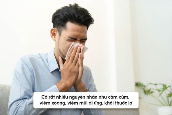 tinh dầu xông mũi