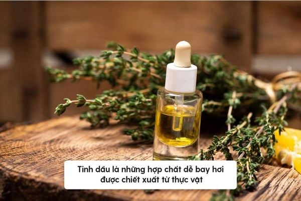 tinh dầu xông mũi