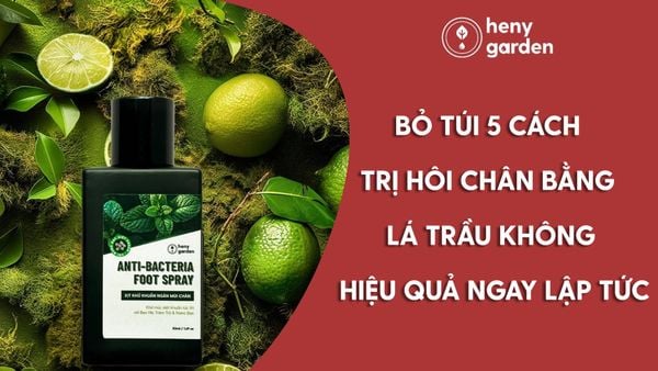 6. Tìm Hiểu Thêm Về Các Phương Pháp Khác Trị Hôi Chân