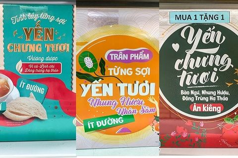 Yến chưng tươi cao cấp Nest Gold bổ sung sâm nhung, hải mã, nhân sâm