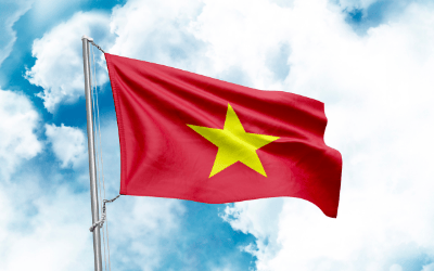 Cờ Việt Nam - quà tặng 2.9