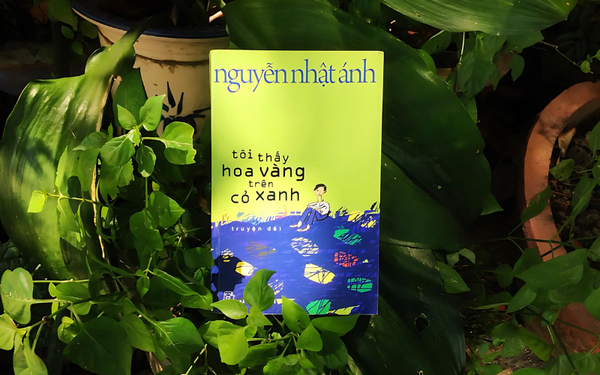 Tôi thấy hoa vàng trên cỏ xanh - nhanvan.vn