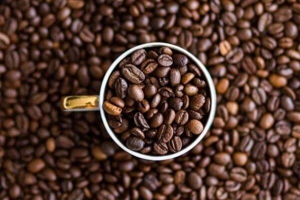 Cà phê robusta là gì