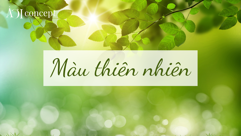 Màu thiên nhiên là gì? Bảng màu, ứng dụng trong nội thất & thời trang