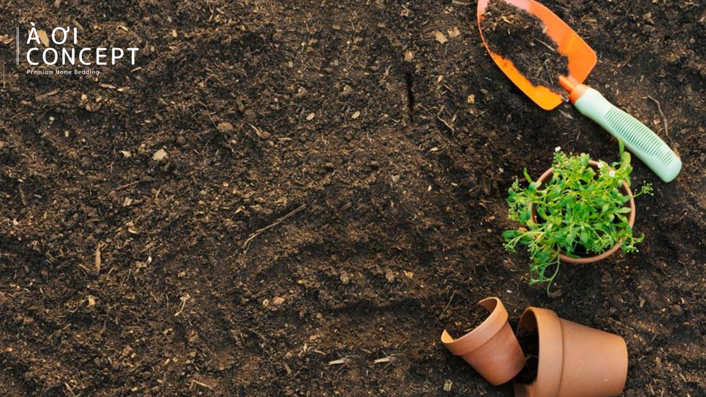 Mệnh Thổ hợp màu gì? Gợi ý màu sắc phong thủy, trang phục, đá và tone ấm phù hợp