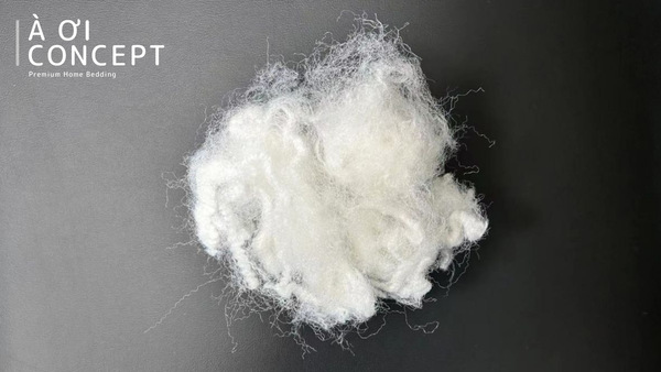 Sợi polyester là gì? Ưu nhược điểm, ứng dụng và so sánh với sợi nhân tạo khác
