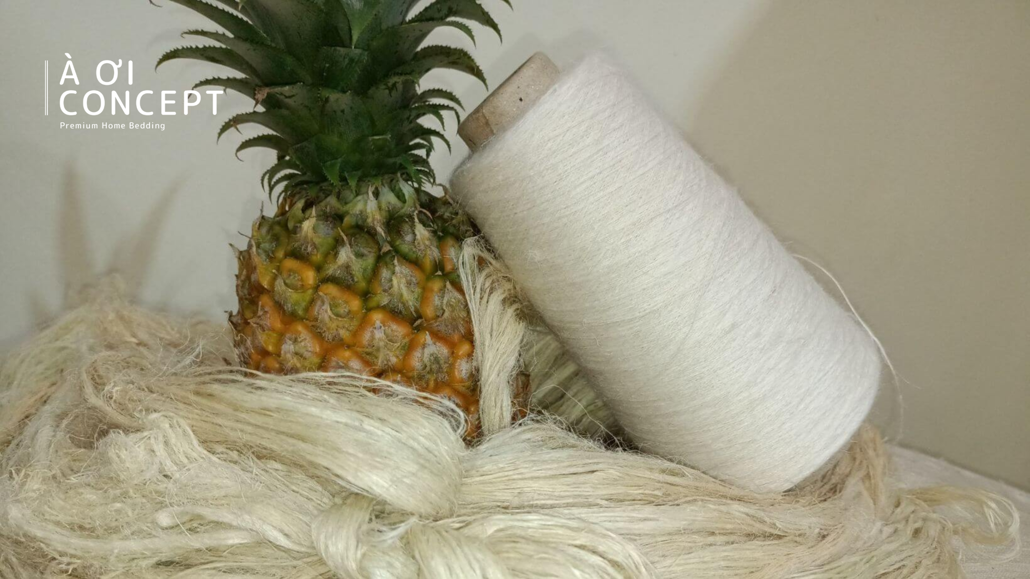 Vải sợi tự nhiên: Khám phá cotton, bamboo, lanh, tencel và chất liệu thân thiện