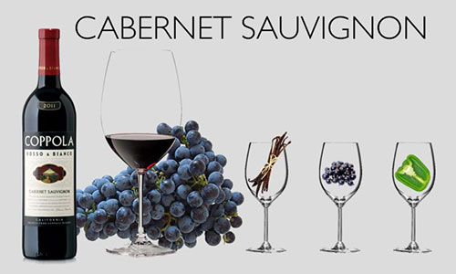 Vì sao rượu vang Cabernet Sauvignon của Napa được ưa chuộng khắp thế giới?