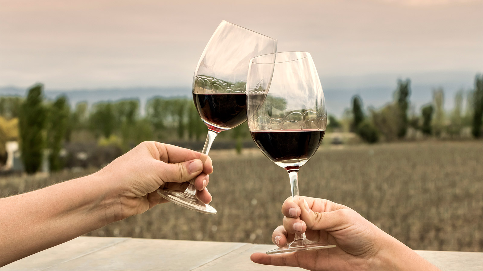 Hương vị rượu vang làm từ nho Malbec