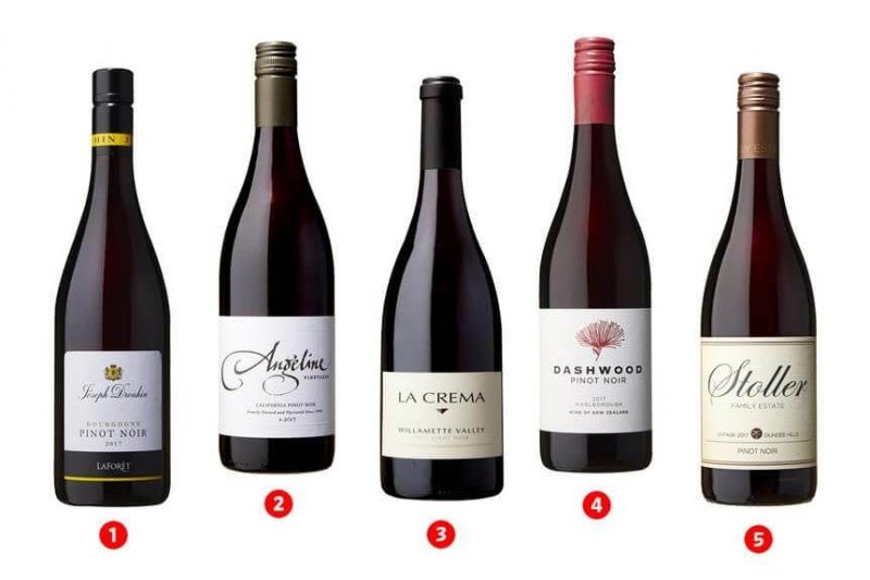 Giới thiệu về Rượu vang đỏ Pinot Noir