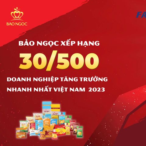 BẢO NGỌC VINH DỰ LỌT TOP 500 DOANH NGHIỆP TĂNG TRƯỞNG NHANH NHẤT VIỆT NAM NĂM 2022
