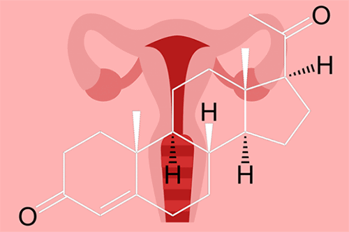 Progesterone và Progestin có ảnh hưởng thế nào đối với người phụ nữ ...