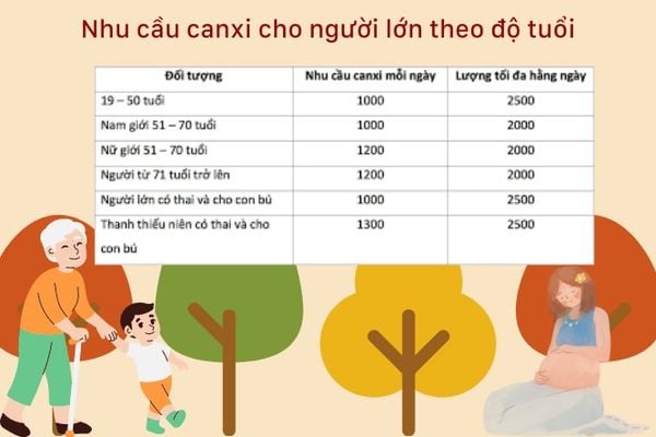 Lượng canxi cần thiết mỗi ngày?