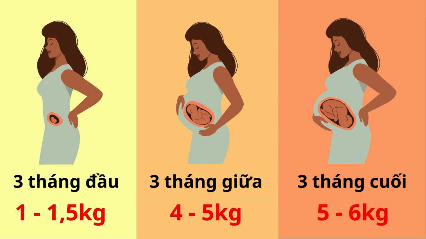 Tăng cân mang thai – bao nhiêu là đủ