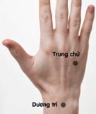 Điều trị vô sinh nữ bằng day bấm huyệt