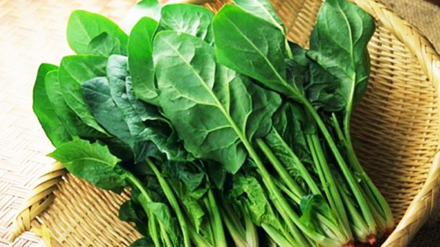 Rau Bina: loại rau tuyệt vời dùng trong thai kỳ