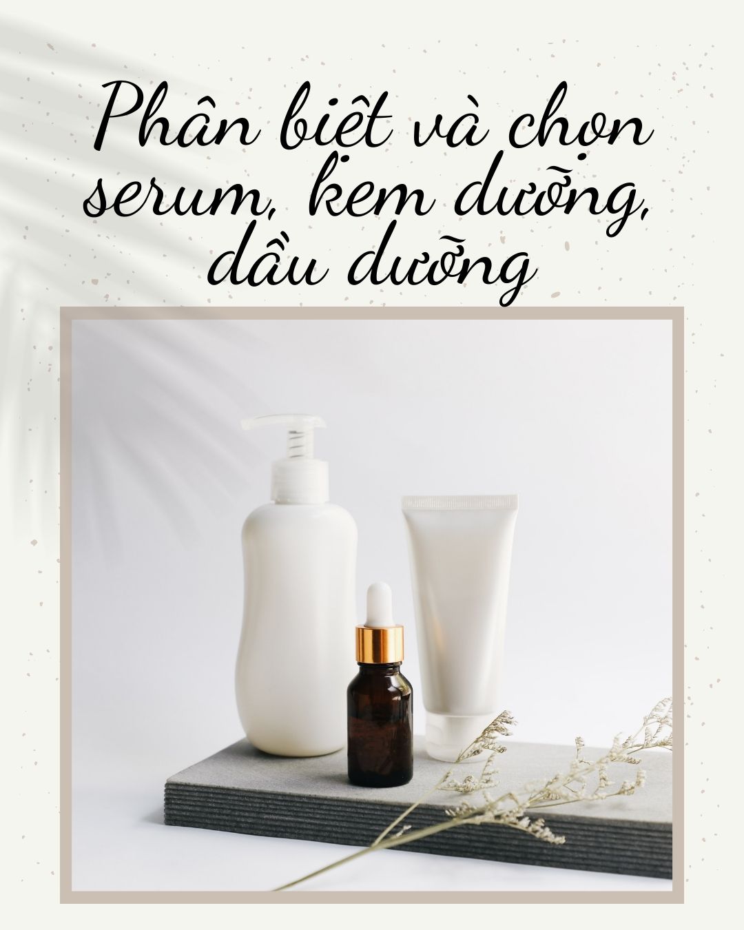 Phân biệt và chọn serum, kem dưỡng, dầu dưỡng