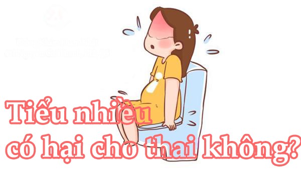 Tiểu nhiều có hại cho thai không?