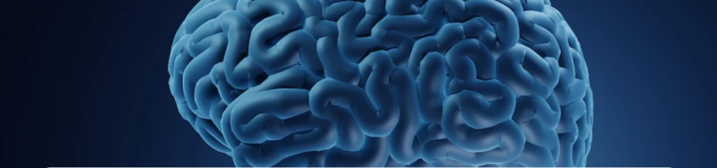 Hội chứng tiểu não: Nguyên nhân, triệu chứng, phương pháp điều trị