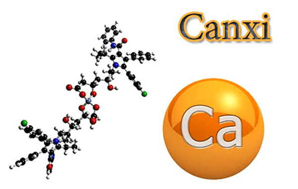 Canxi là “chiếc gậy của người cao tuổi”?