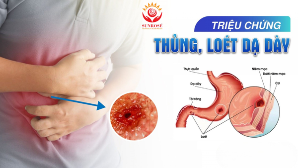 Thông tin sức khỏe