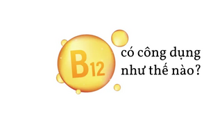 Vitamin B12 (cobalamin) có công dụng như thế nào?
