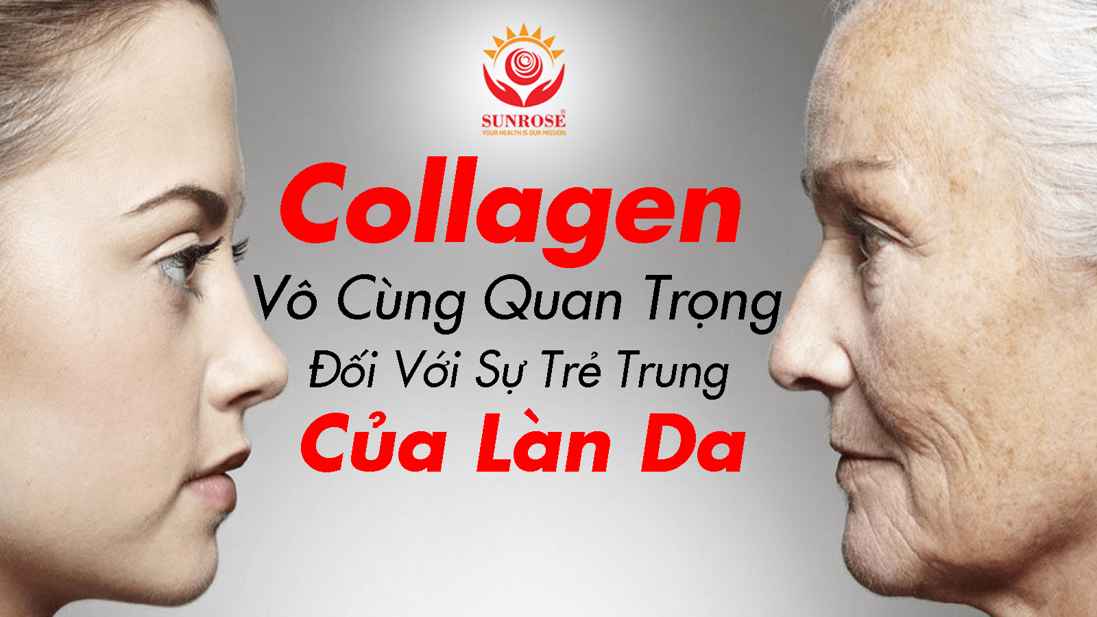 Collagen Vô Cùng Quan Trọng Đối Với Sự Trẻ Trung Của Làn Da