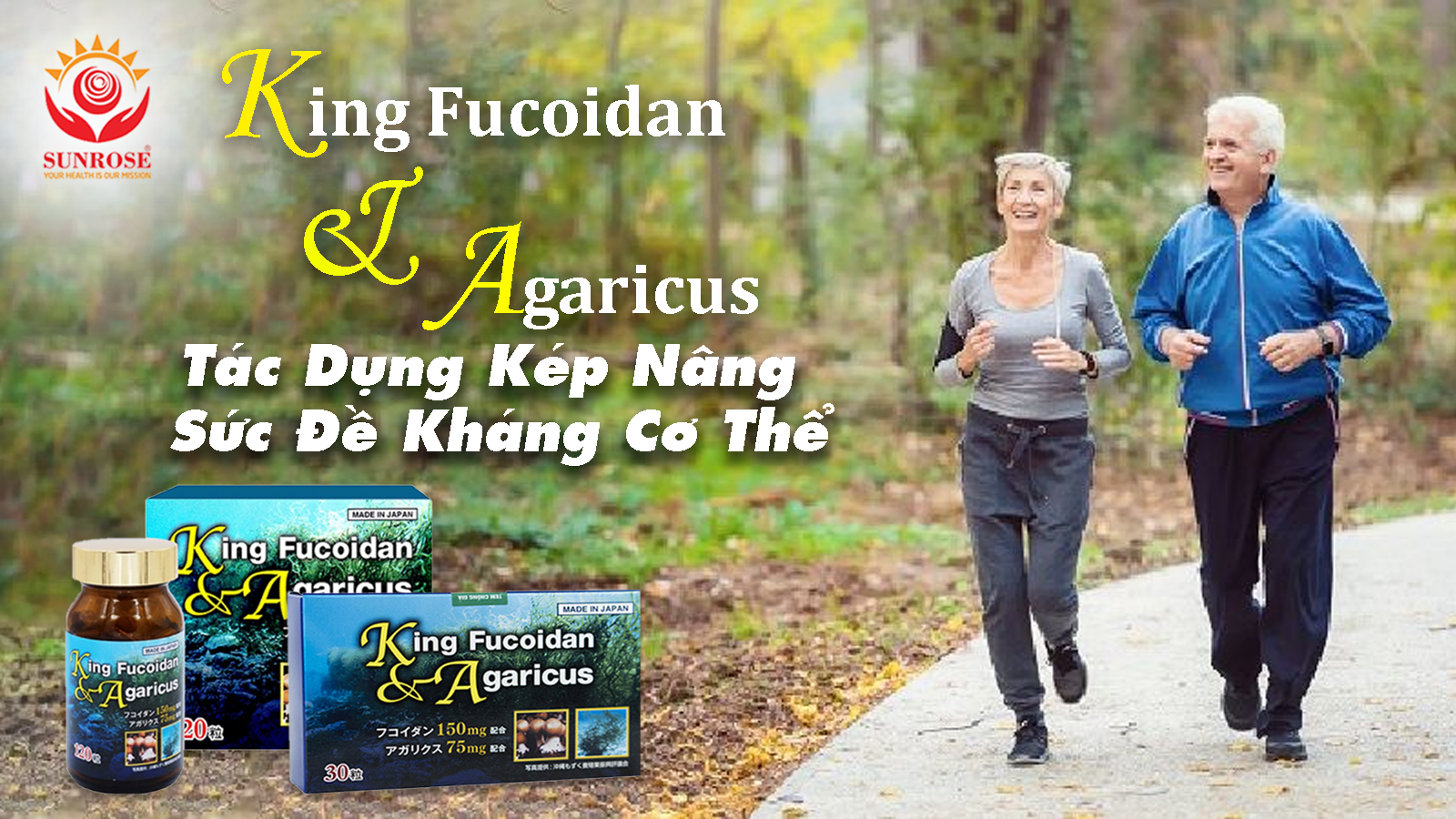 FUCOIDAN & BETA GLUCAN: Tác Dụng Kép Nâng Sức Đề Kháng Cơ Thể