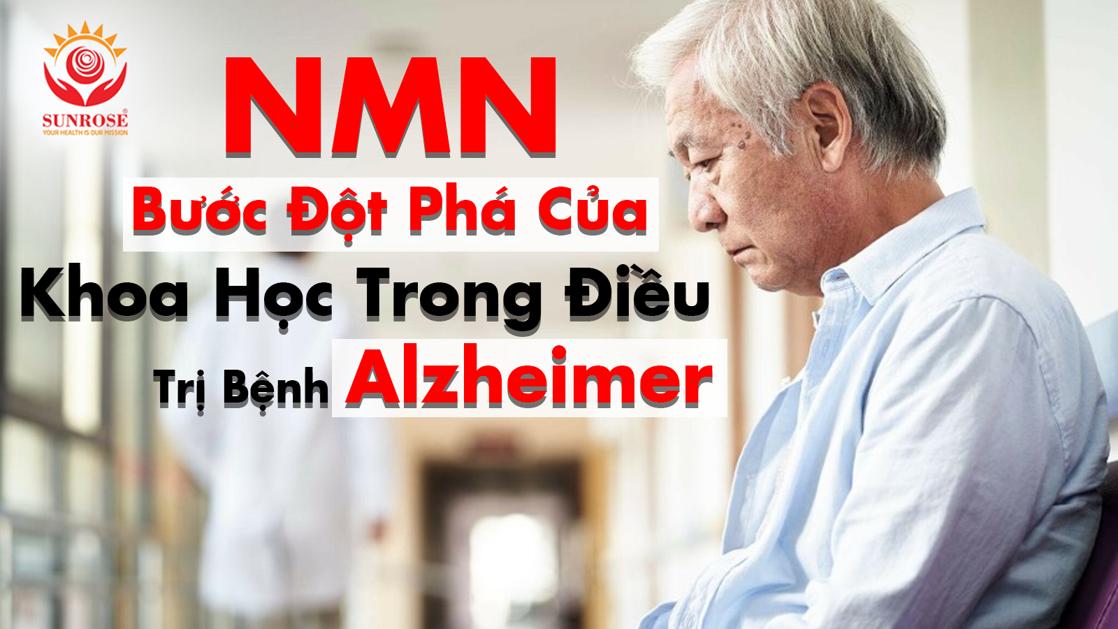 NMN - Bước Đột Phá Của Khoa Học Trong Điều Trị Bệnh Alzheimer