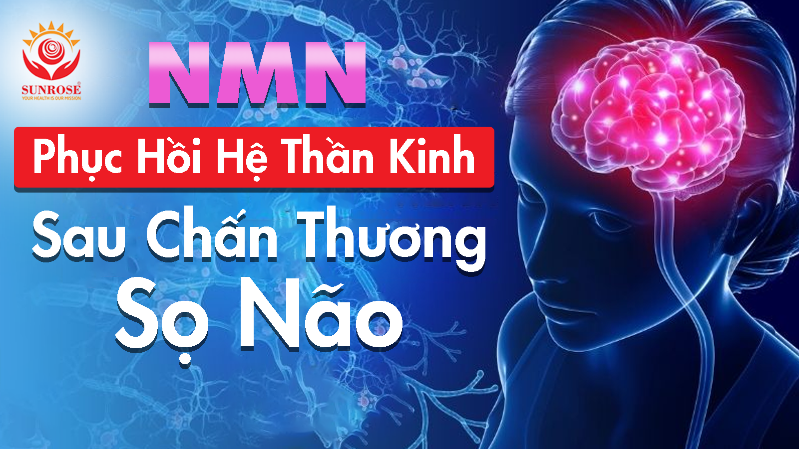 Nmn Phục Hồi Hệ Thần Kinh Sau Chấn Thương Sọ Não – Sunrose Vn Tpcn