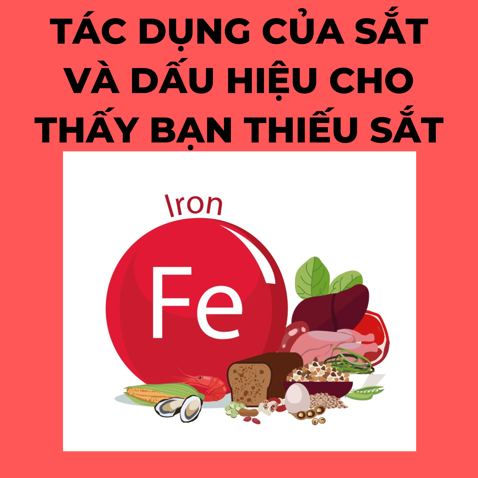 TÁC DỤNG CỦA SẮT VÀ DẤU HIỆU CHO THẤY BẠN BỊ THIẾU SẮT