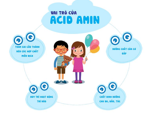 Acid amin là gì ? Vai trò và Tác dụng của Acid amin.