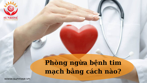 Phòng ngừa bệnh tim mạch bằng cách nào?