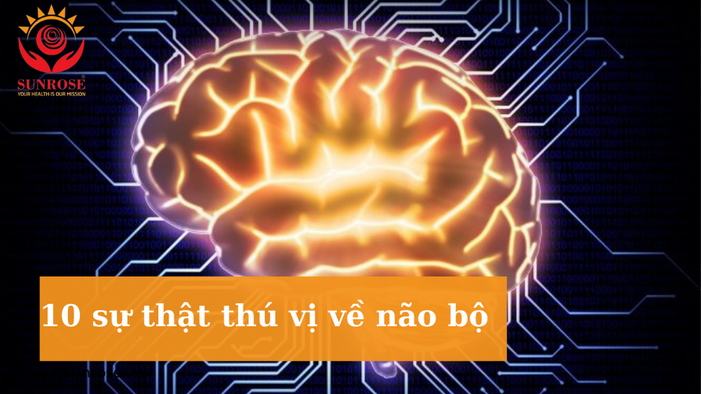 10 sự thật thú vị về não bộ