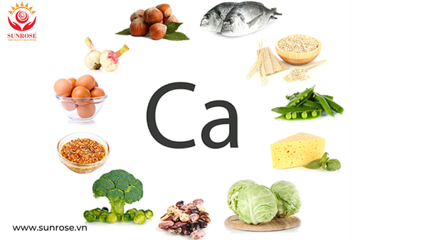 13 thực phẩm giàu canxi nhất