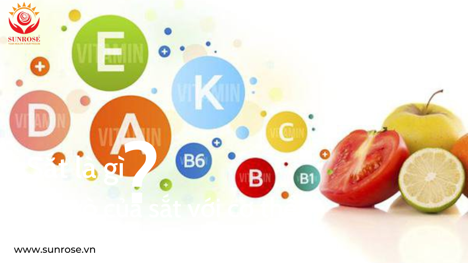 Bạn đã biết những vitamin nào cần thiết cho cơ thể?