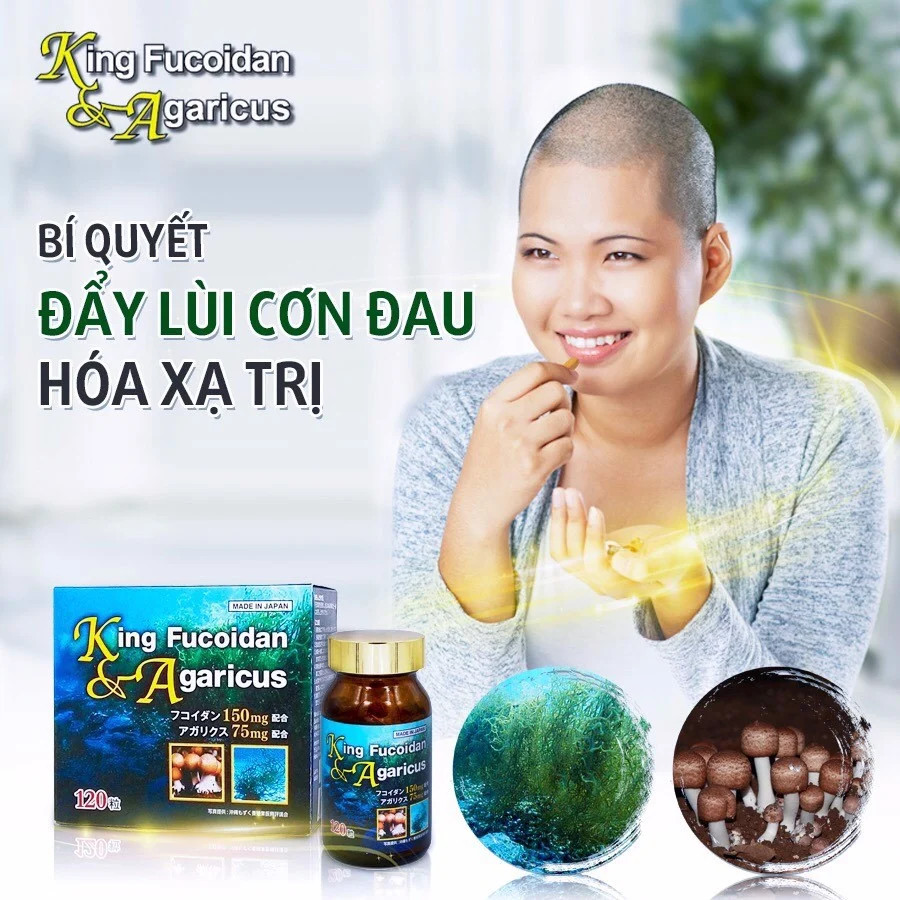 FUCOIDAN & BETA GLUCAN: TÁC DỤNG KÉP NÂNG SỨC ĐỀ KHÁNG CƠ THỂ