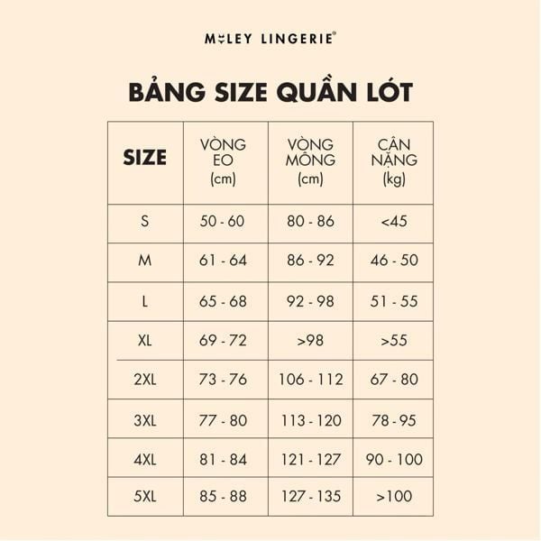 size quần lót modal